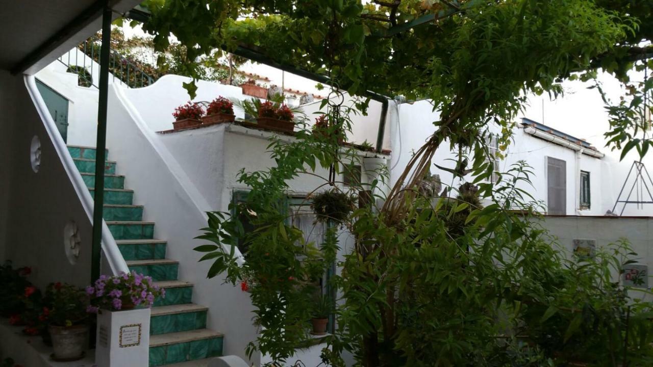 Il Gelso Διαμέρισμα Ανακάπρι Εξωτερικό φωτογραφία